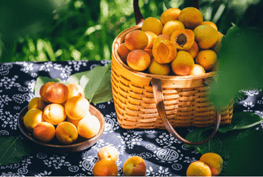 images/1720682631159Pak Fruit Garden”Xinjiang taste”.png